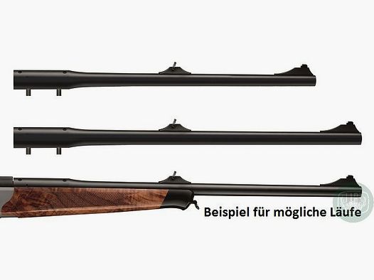 Blaser WL R8 10,3x60R Wechselläufe/Austauschläufe