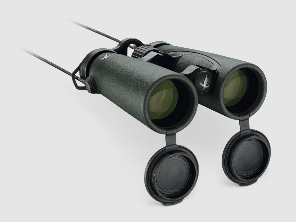 Swarovski EL 10x42 W B binoculars - ACTION!