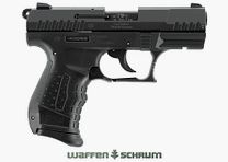 Walther P22