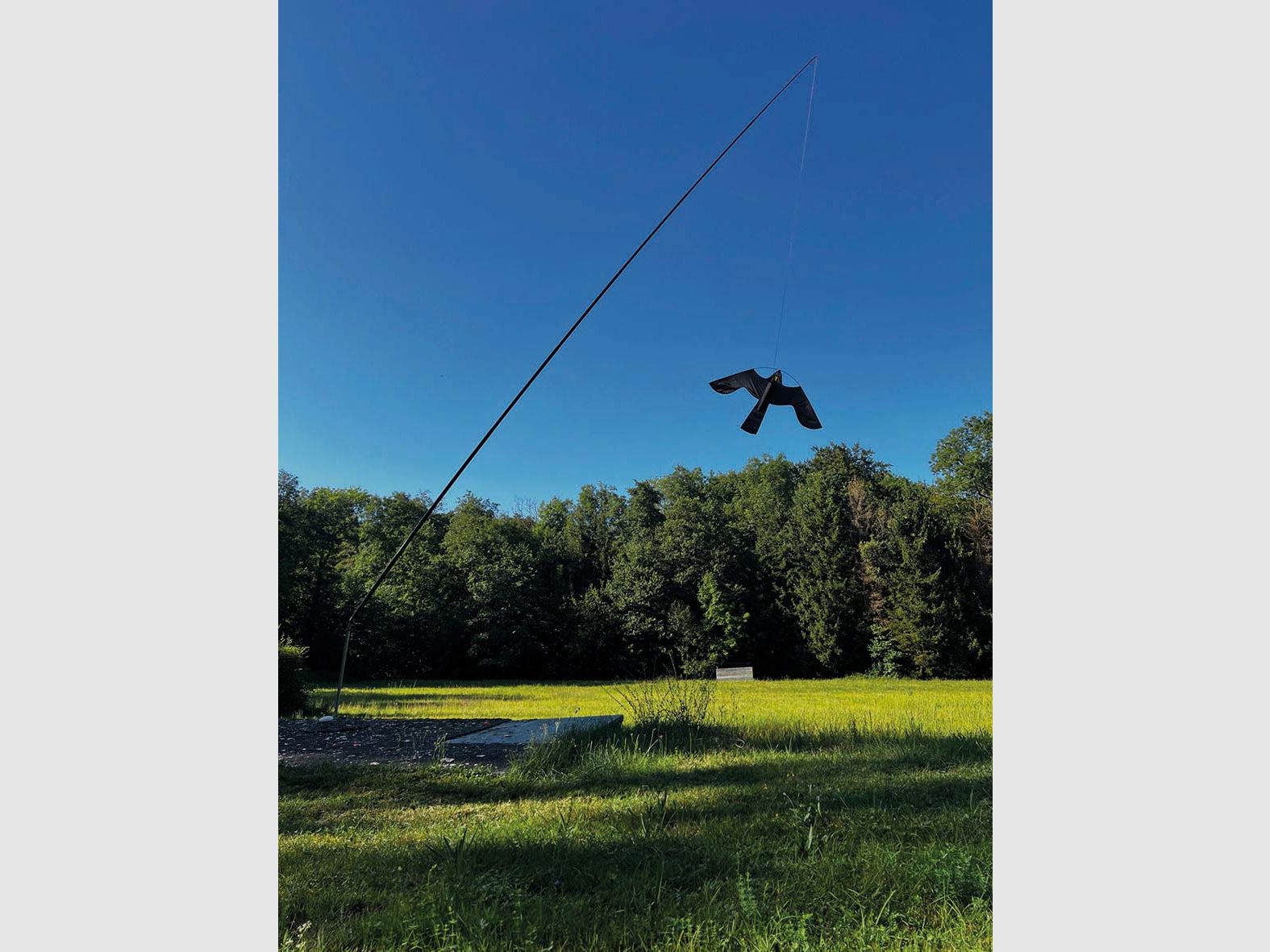 Windrotierende Vogelscheuche mit 4m Mast