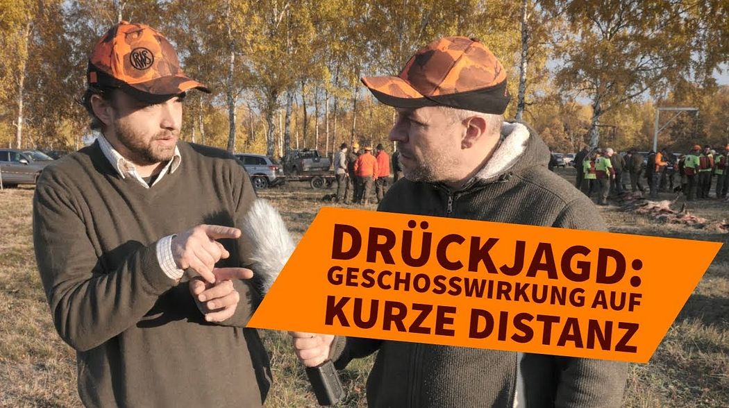 Drückjagd 2018: Was gilt es bei kurzen Schussentfernungen zu beachten?