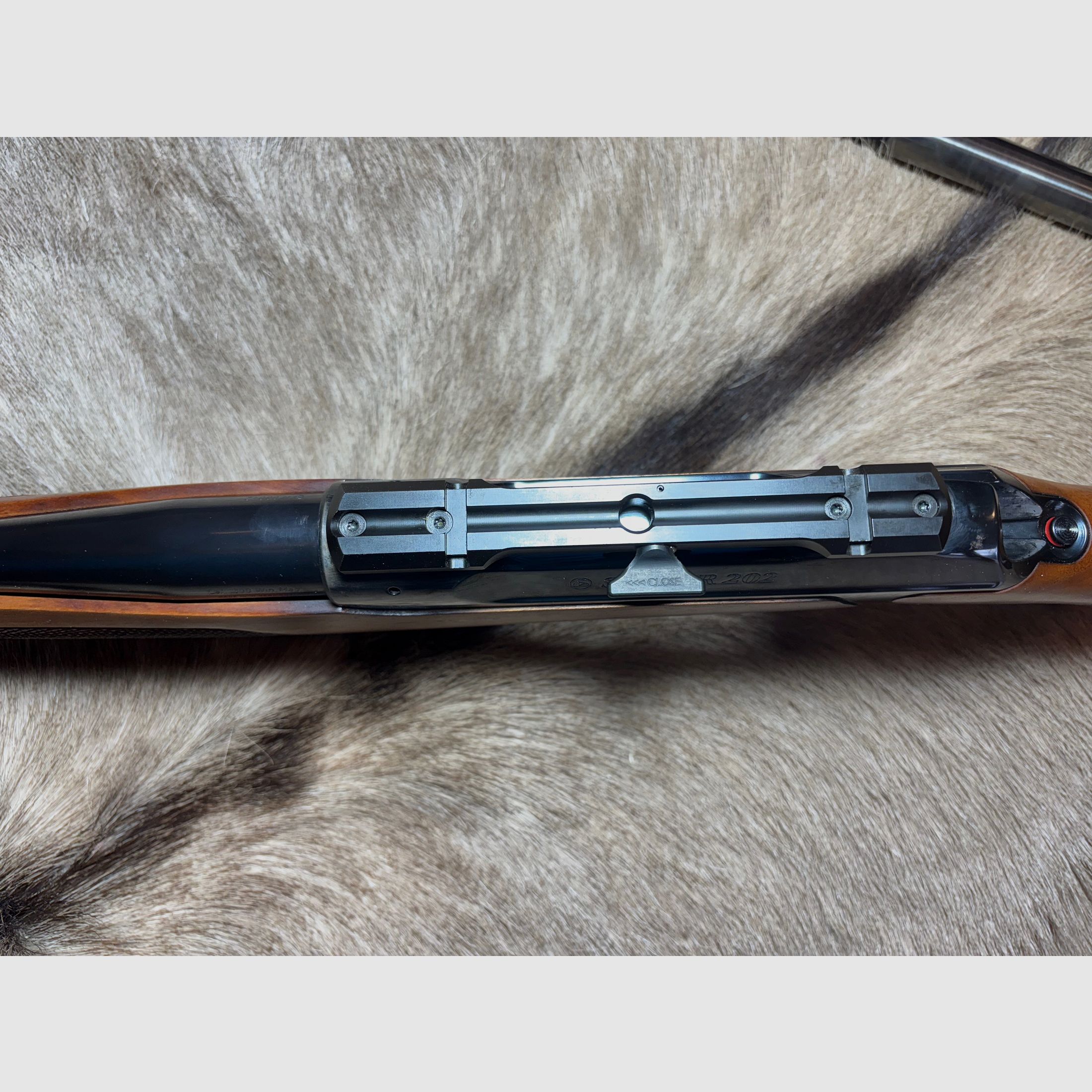 Sauer 202 .300 WinMag Elegance