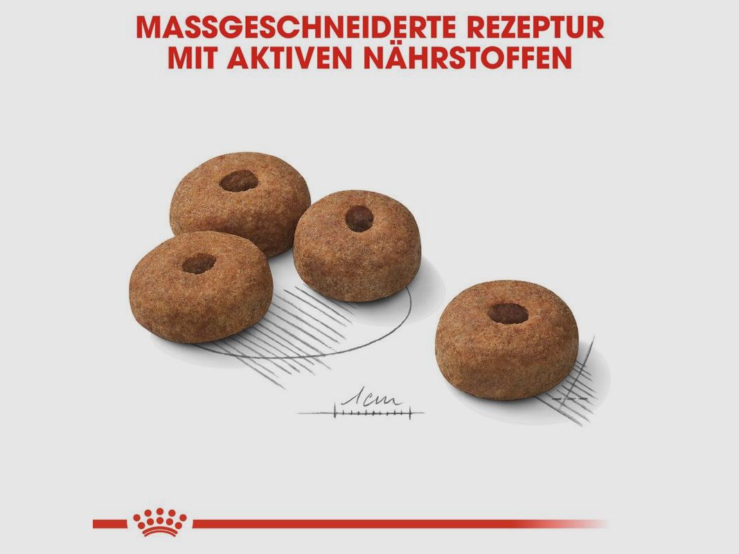 ROYAL CANIN Kastrierte Große Hunde Trockenfutter Sterilised Maxi