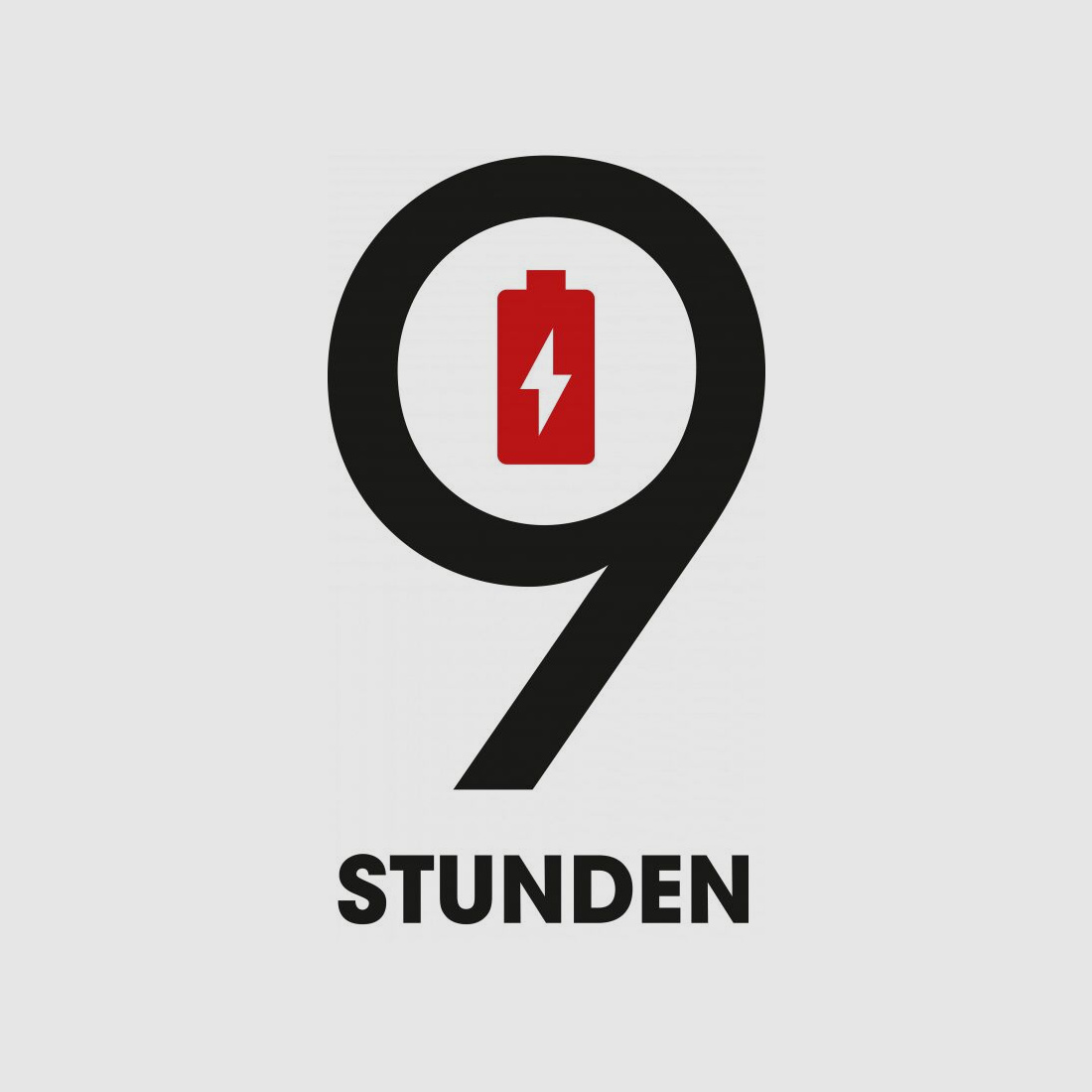 Liemke Luchs-2 attachment device