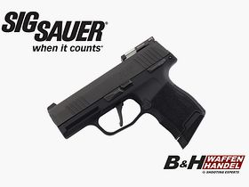 Sig Sauer P365 MS met Tritium Vizier