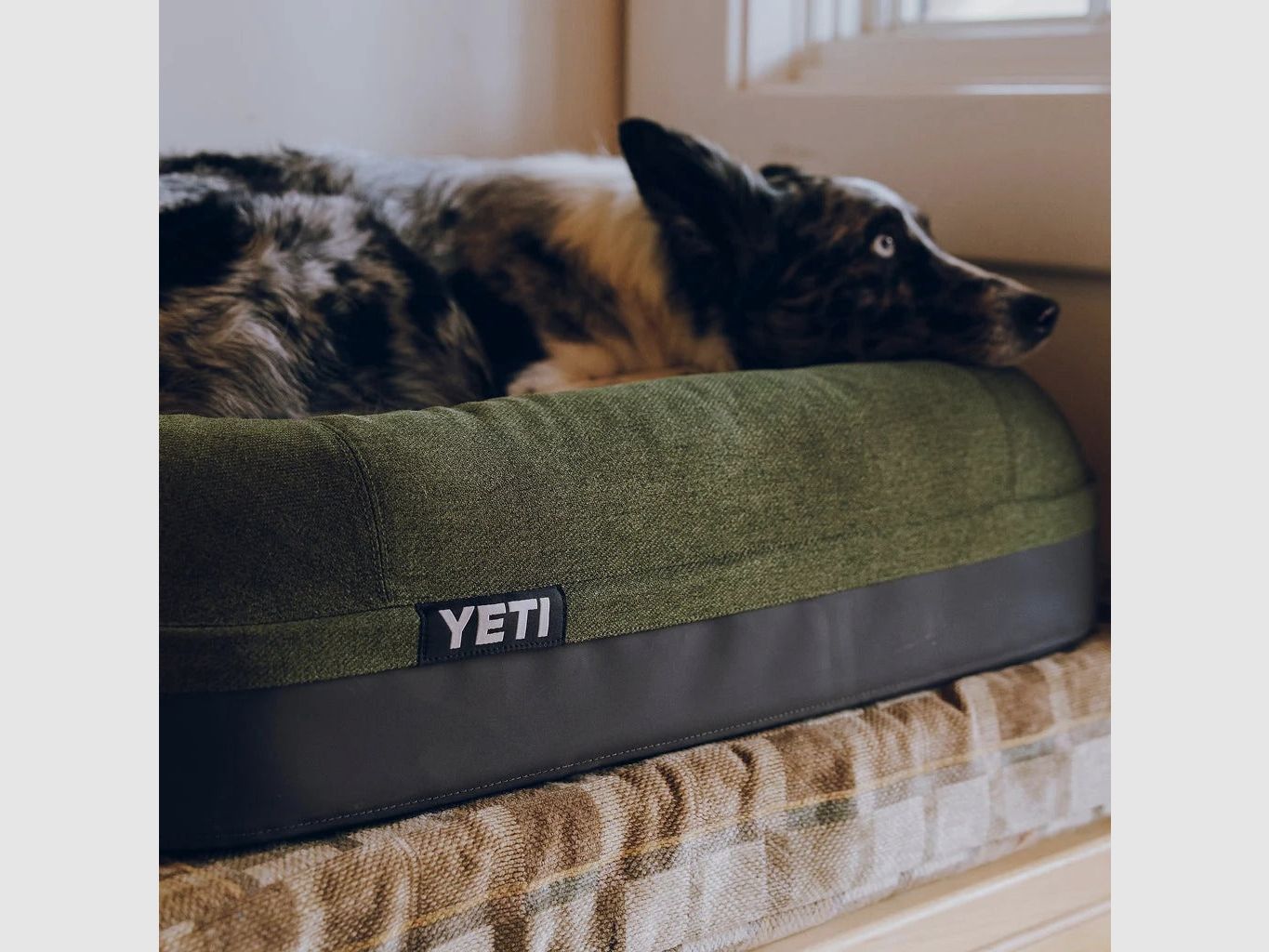 YETI® Boomer Hundebett Small - Navy, Bild 12 von 12