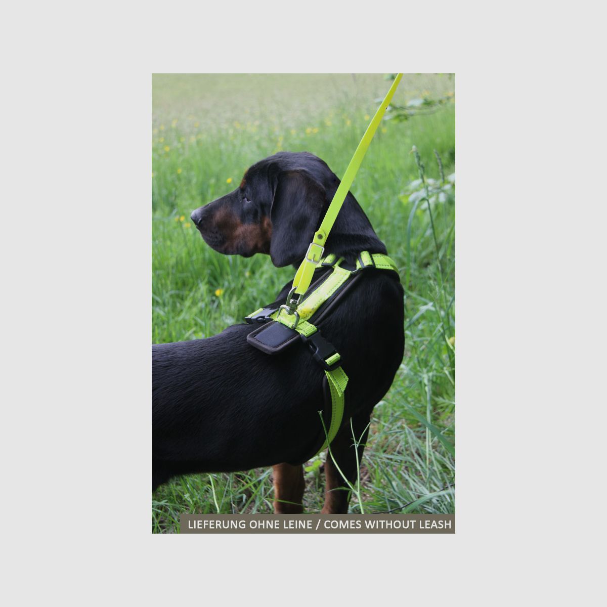 AKAH Brustgeschirr Tracker neongelb