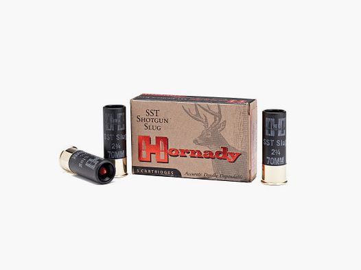 Hornady Shotgun SST 300GR FTX