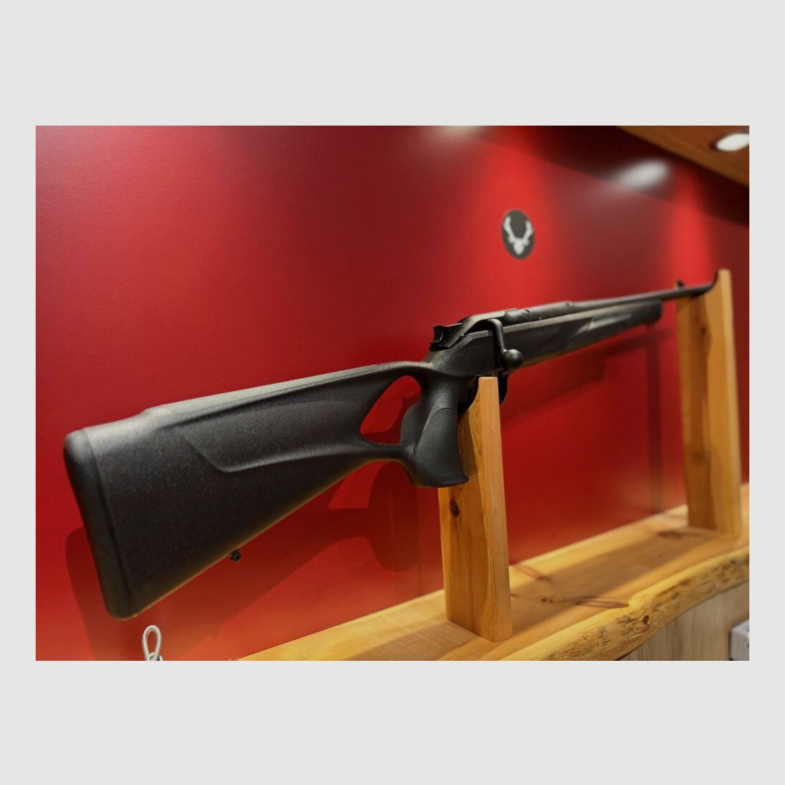 Blaser R8 Professional Success