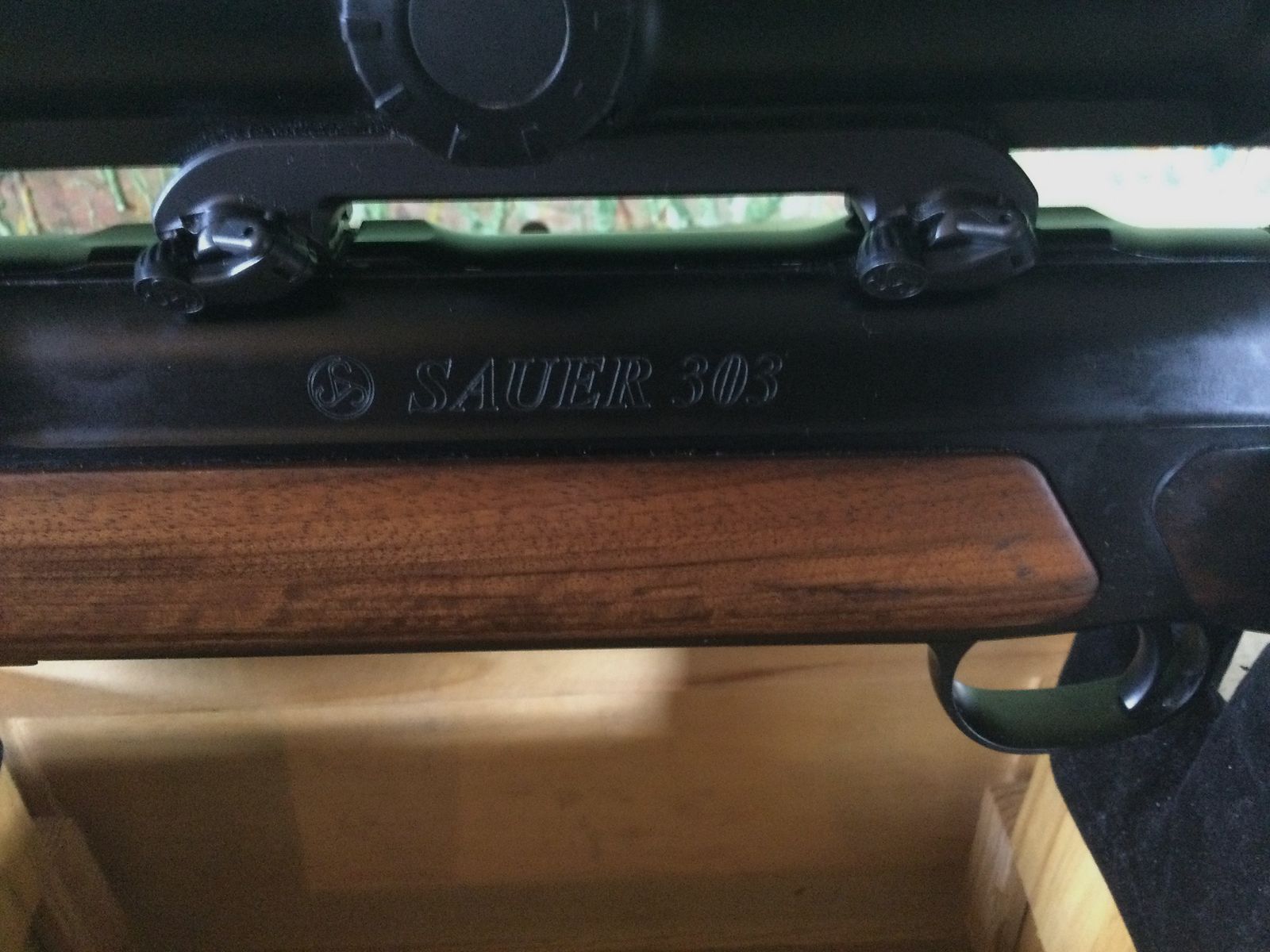 Sauer 303 GTI mit Zeiss Victory 1.1-8x30
