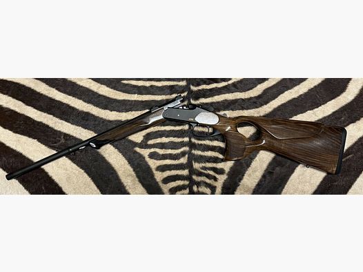 Blaser K95 Success