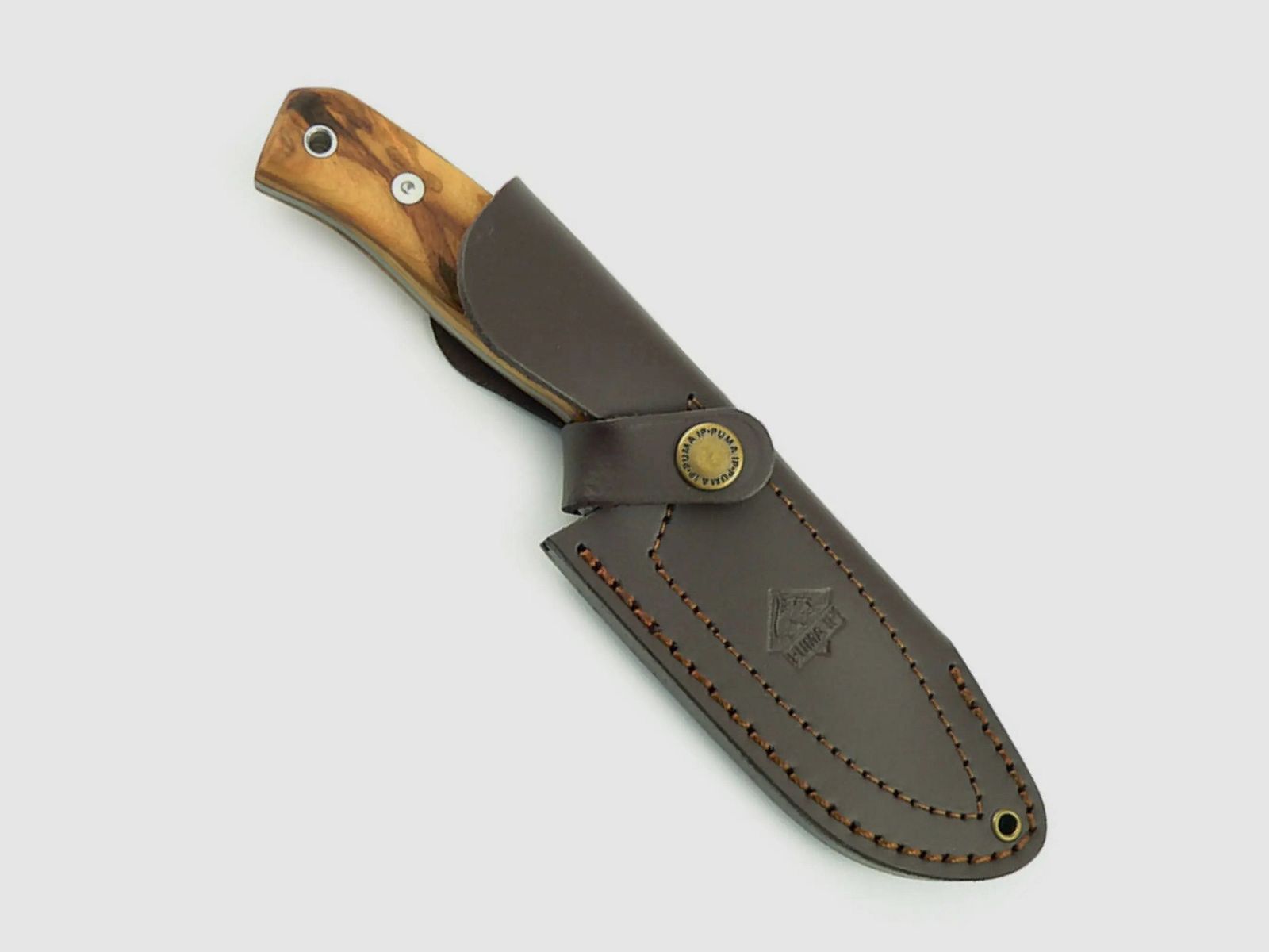 PUMA IP cervato, olijf