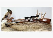Sauer & Sohn 3000 12/70;.30-06Spring