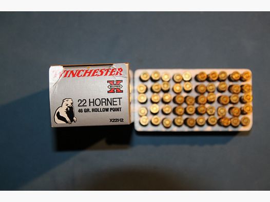 50 Schuß Winchester in .22 Hornet mit dem 3 Gramm Hollow Point Geschoß