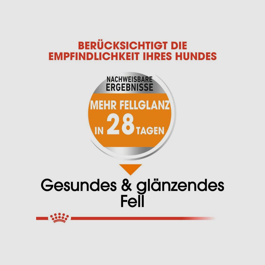 ROYAL CANIN Kleine Hunde Trockenfutter Coat Care für glänzendes Fell 3 Kg