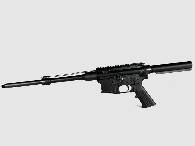 GERMAN TACTICAL SYSTEMS Naked AR15 mit 10,5 Zoll Lauf