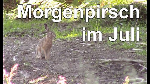 Morgenpirsch im Juli