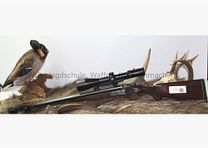 Sauer & Sohn mit Zeiss Victory Varipoint und mündungslangen ESL 8x57JRS;16/70;.22Hornet