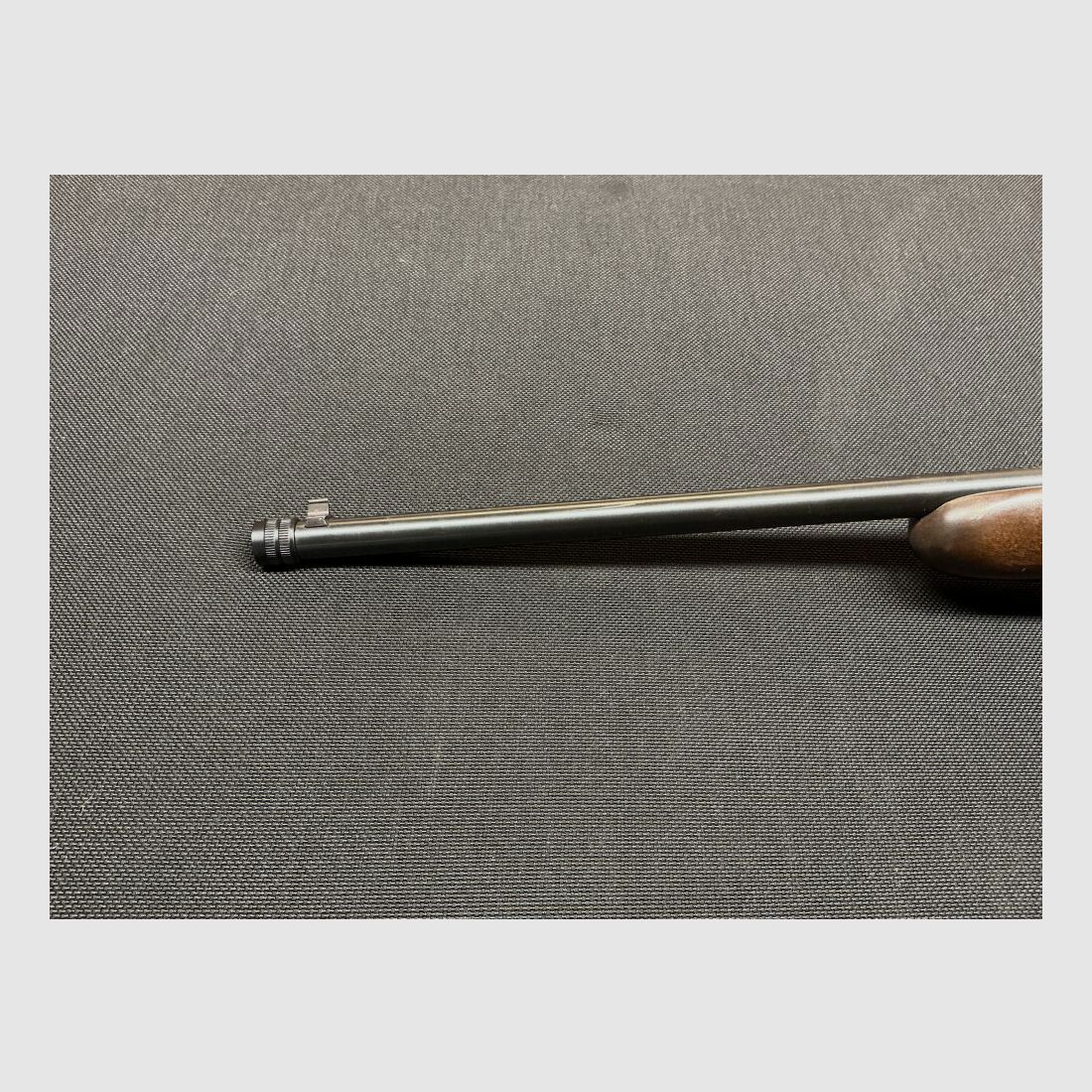 Lakefield sin .22lr, imagen 7 de 10