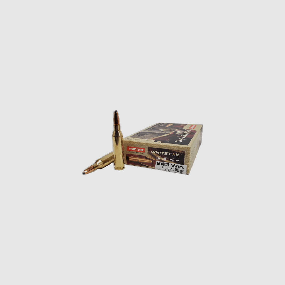 .243 Win NORMA WHITETAIL 100gr