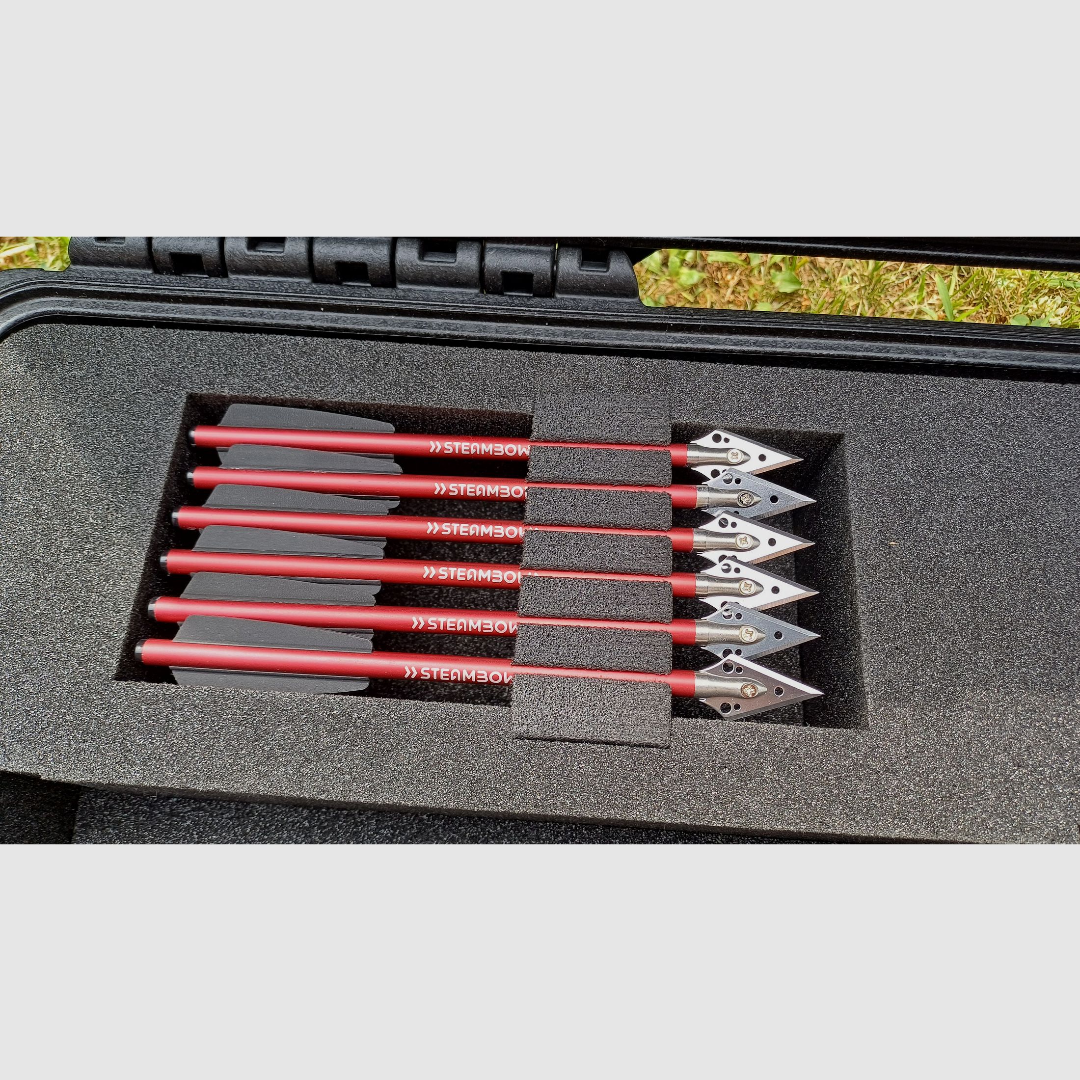 Steambow Stinger AR6 Special Edition Koffer mit Jagdbolzen 