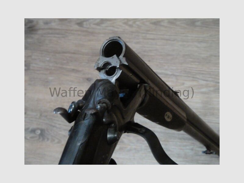 escopeta de perro desconocida