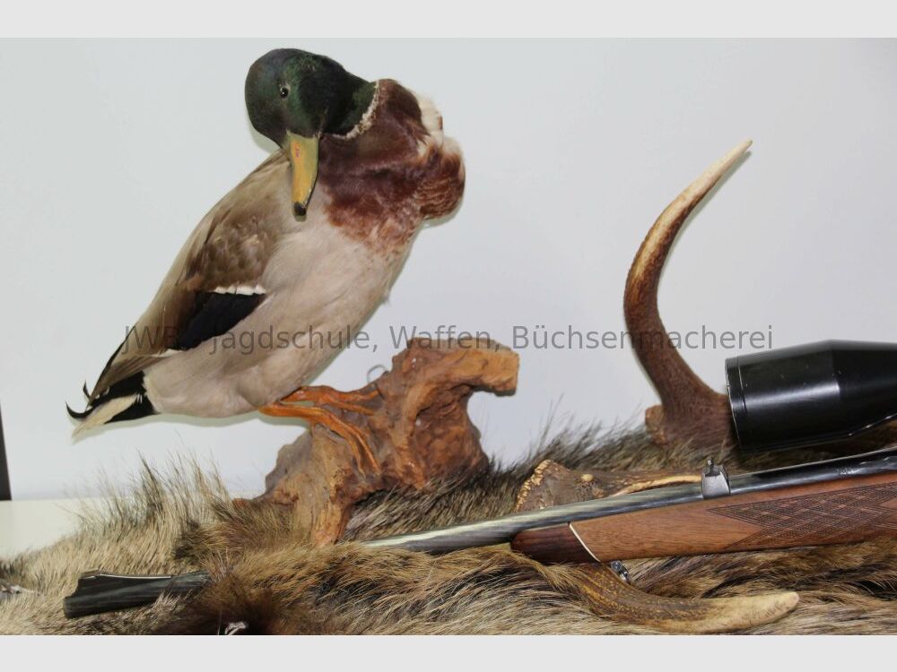 Steyr Mannlicher M with Schmidt & Bender 2.5 - 10 x 56 7x64