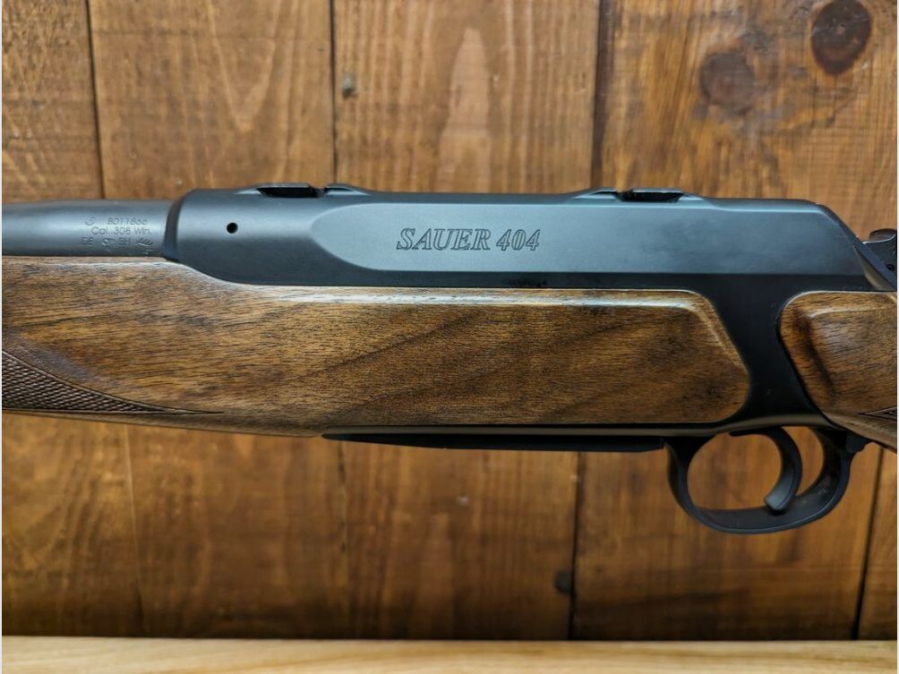 Sauer	 404