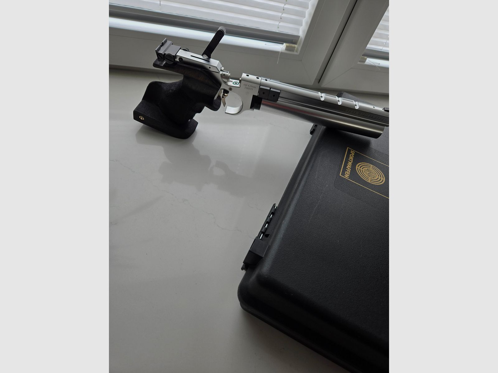 Steyr LP 10 with Rink grip