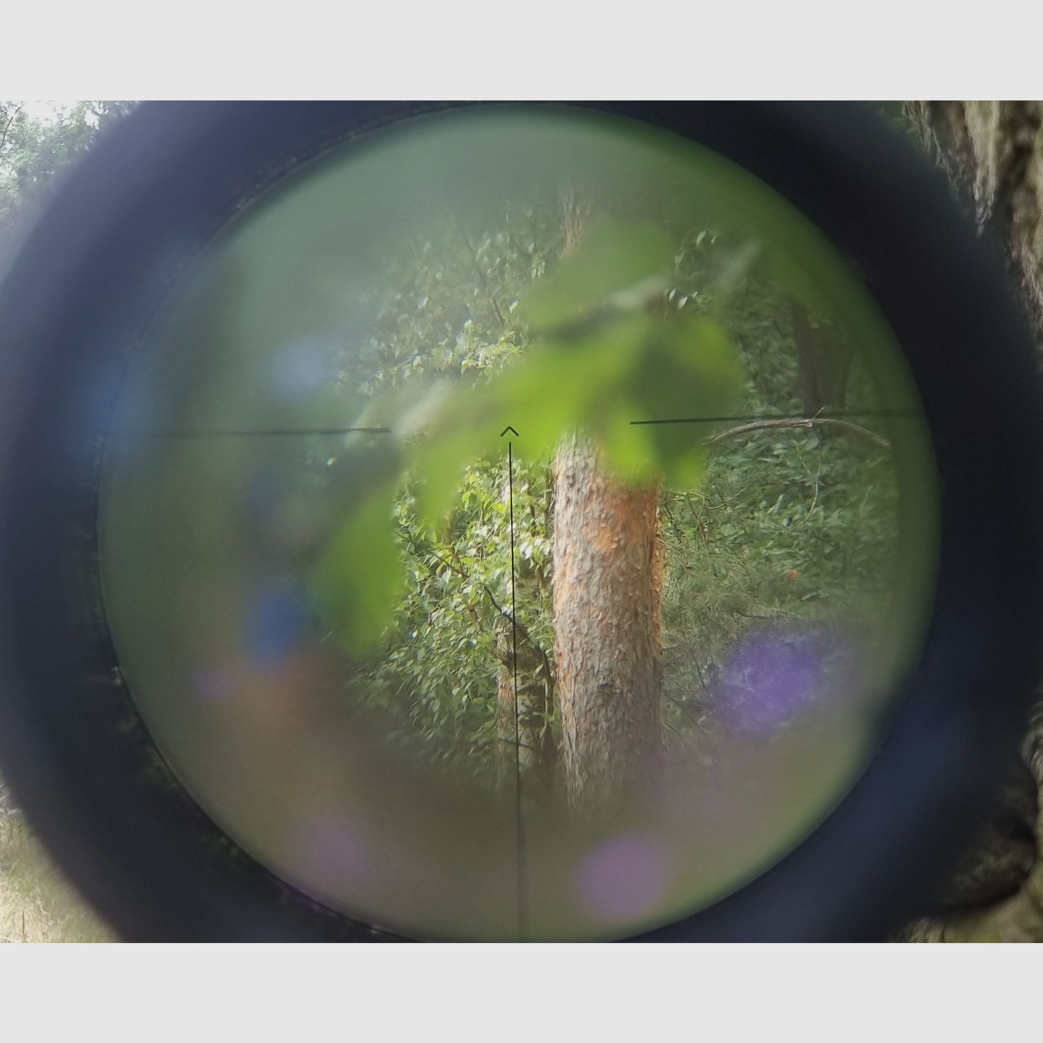 Visor Belaruso BelOMO POSP 6x24 (PSO-1) para SVD Dragunov & AK Kalashnikov SAIGA / Rusia / Unión Soviética / URSS