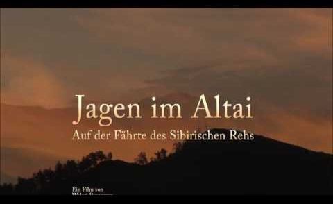 Jagen im Altai -Teil 1. Auf der Fährte des Sibirischen Rehs.
