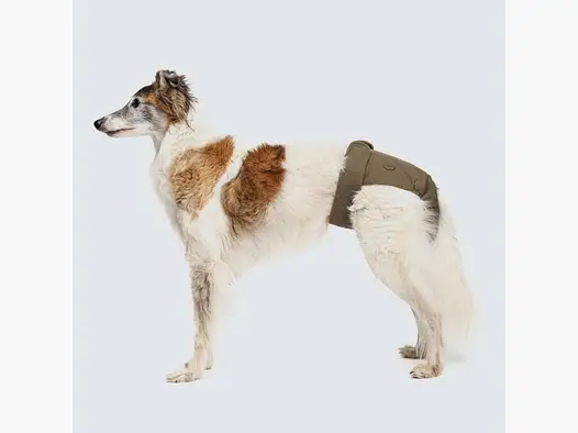 Läufigkeitshöschen