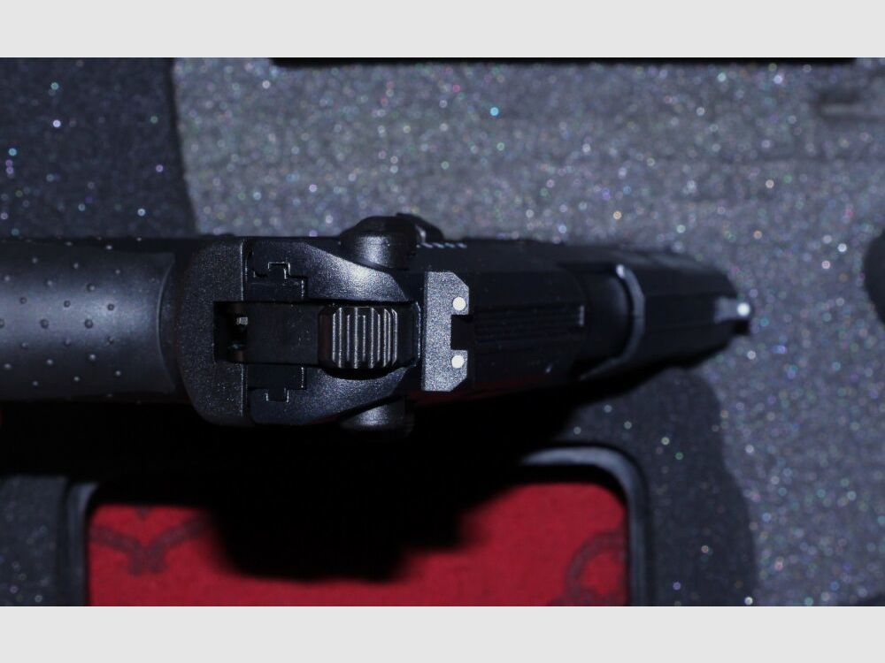 Walther P22