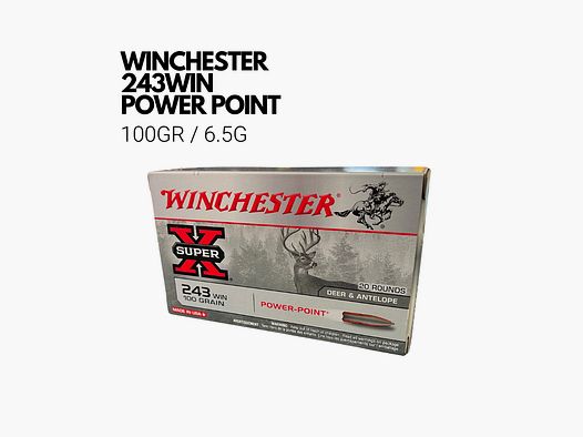 WINCHESTER 243WIN POWER POINT 100GR