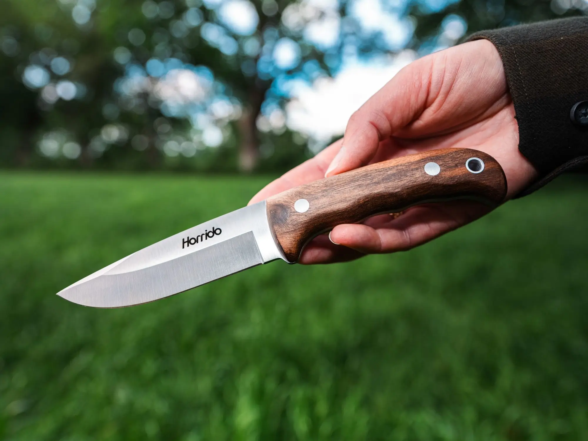 Horrido Ciervo Cuchillo de caza, imagen 7 de 9