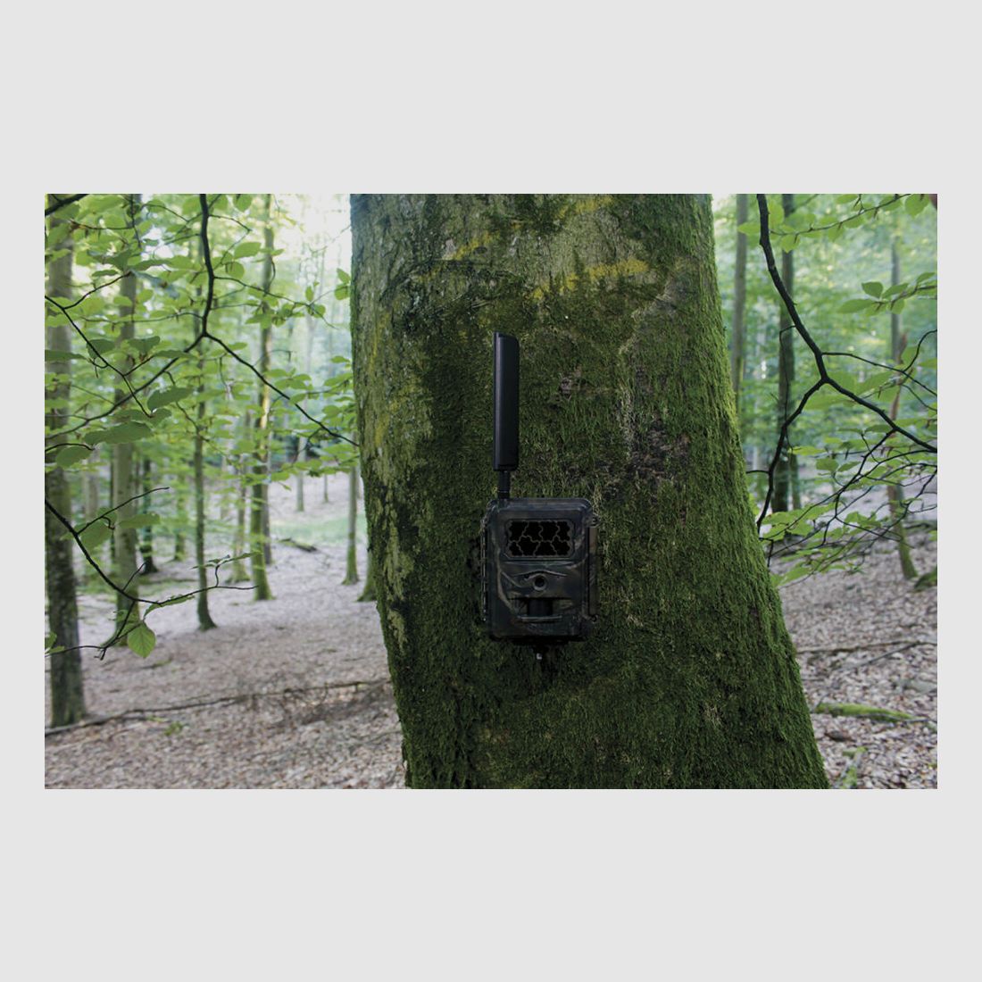 Seissiger Solarpanel für Wildkameras