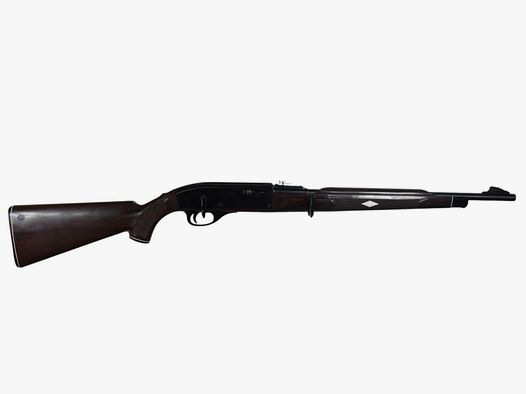Remington Nylon .22lr semi-automatic rifle