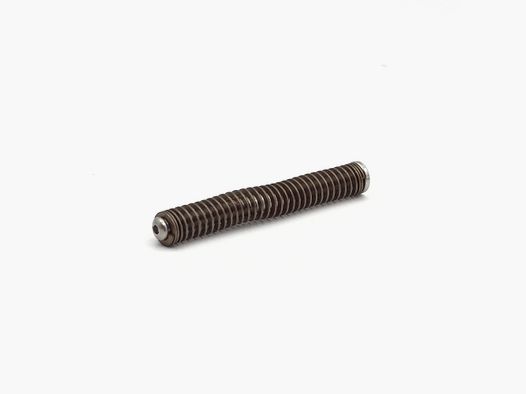 Conjunto Eemann Tech muelle recuperador para GLOCK19 GEN3