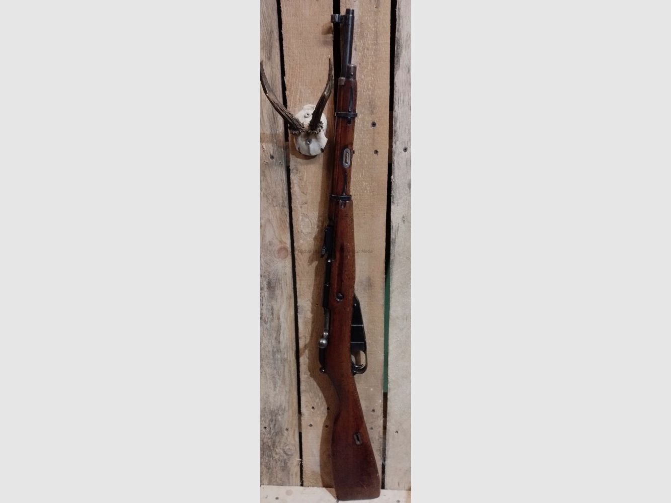 Mosin Nagant M 1938 M 1938, imagen 2 de 5