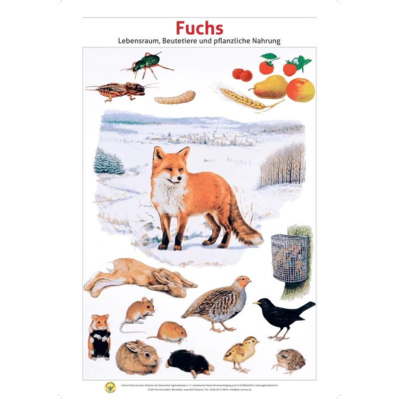 Leerplek Natuur Paneelset "Inheemse Wilde Dieren - Leefgebied en Voedsel" (12 Panelen), afbeelding 3 van 26