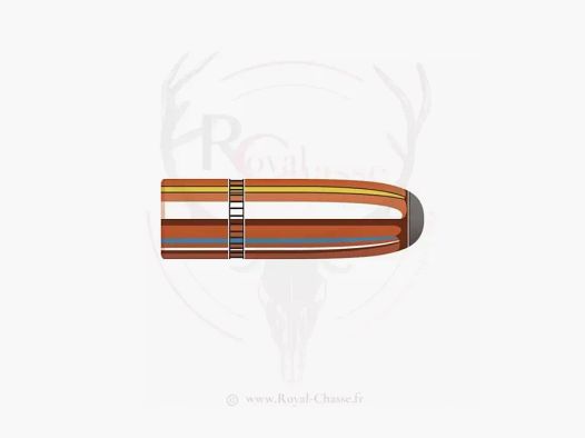 100 ogive cal. .303 D.312 174 gr INTERLOCK RN HORNADY