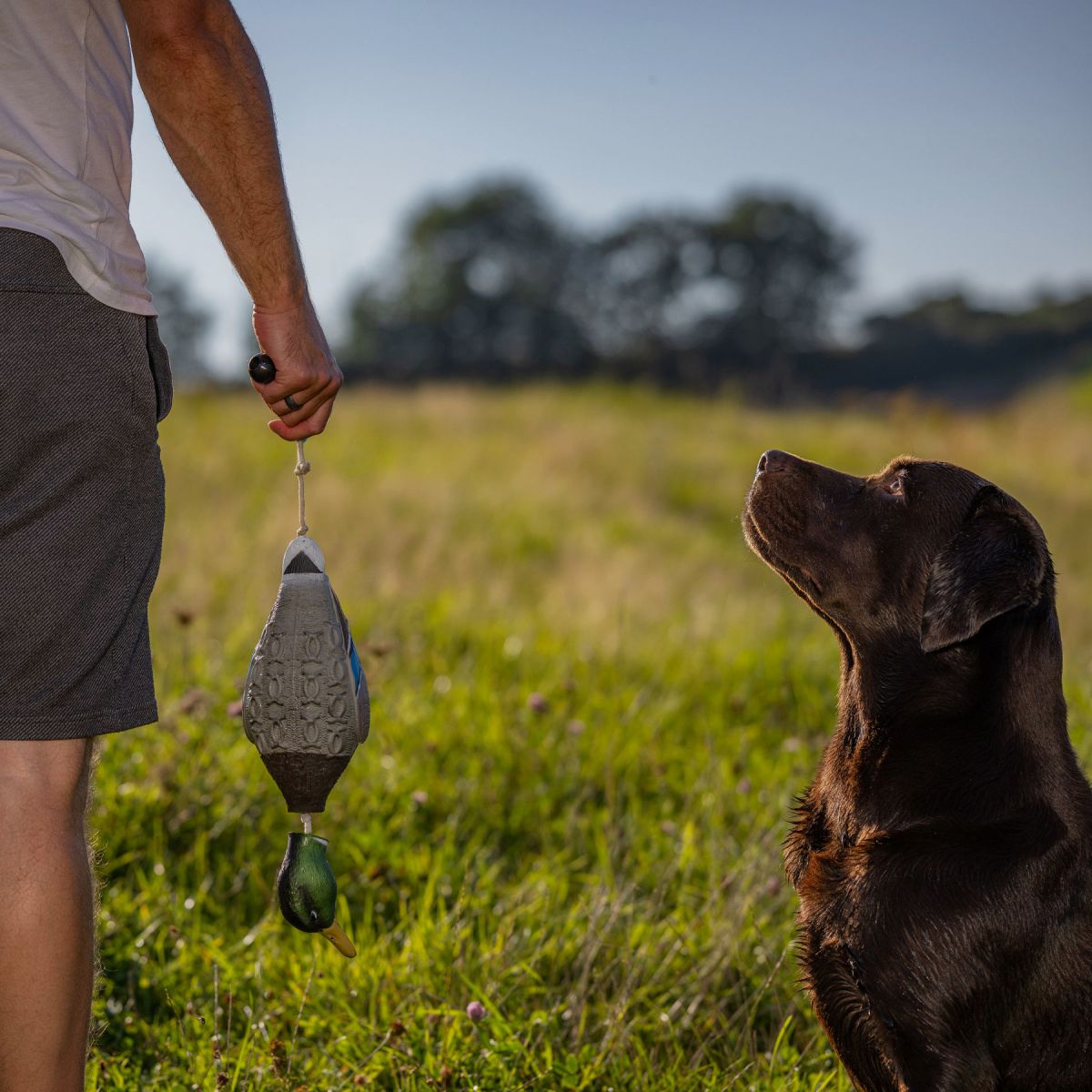 HP&G Apportierdummy Stockente