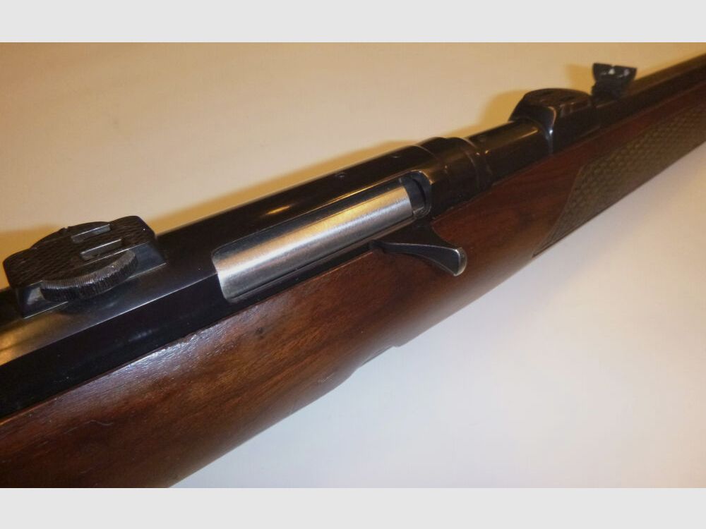 Winchester 100