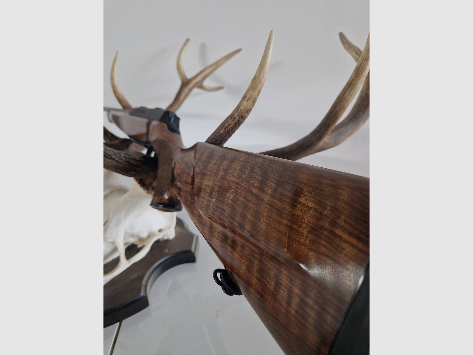 Sauer 404 Classic Deluxe .308 Win