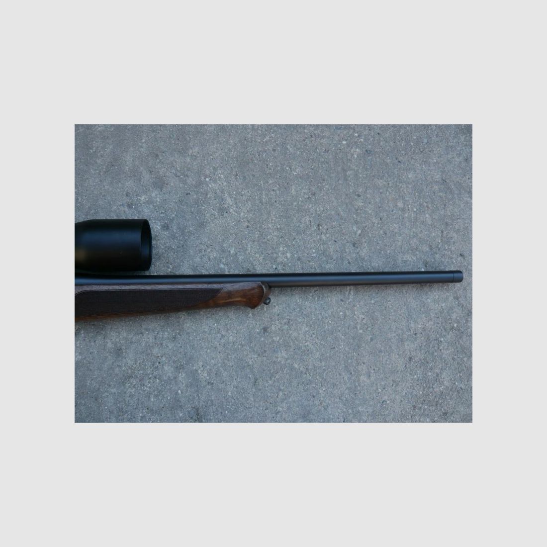 Sauer 101