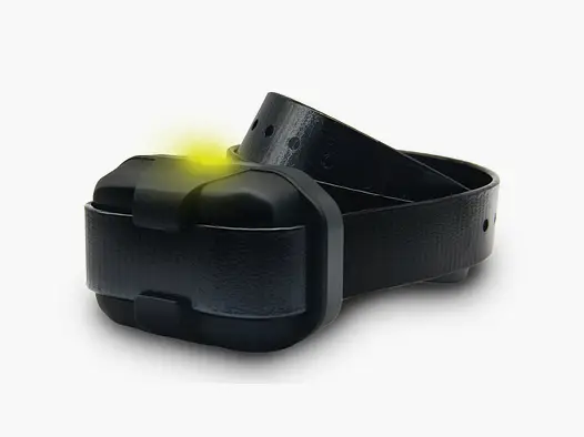 Dogtra Zusatzhalsband für 640/642X