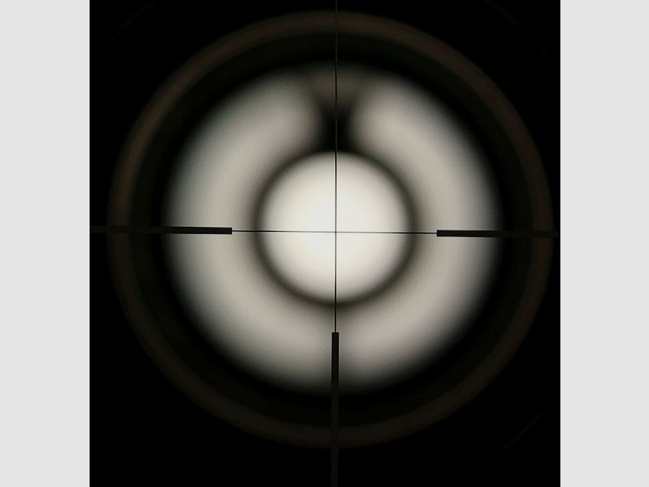 Steyr Mannlicher M mit Zeiss Conquest V6