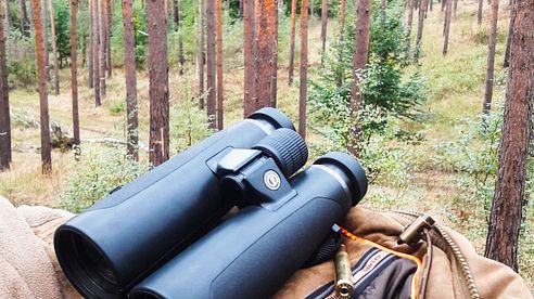 Auf Jagd mit dem GECO GOLD 10x50  