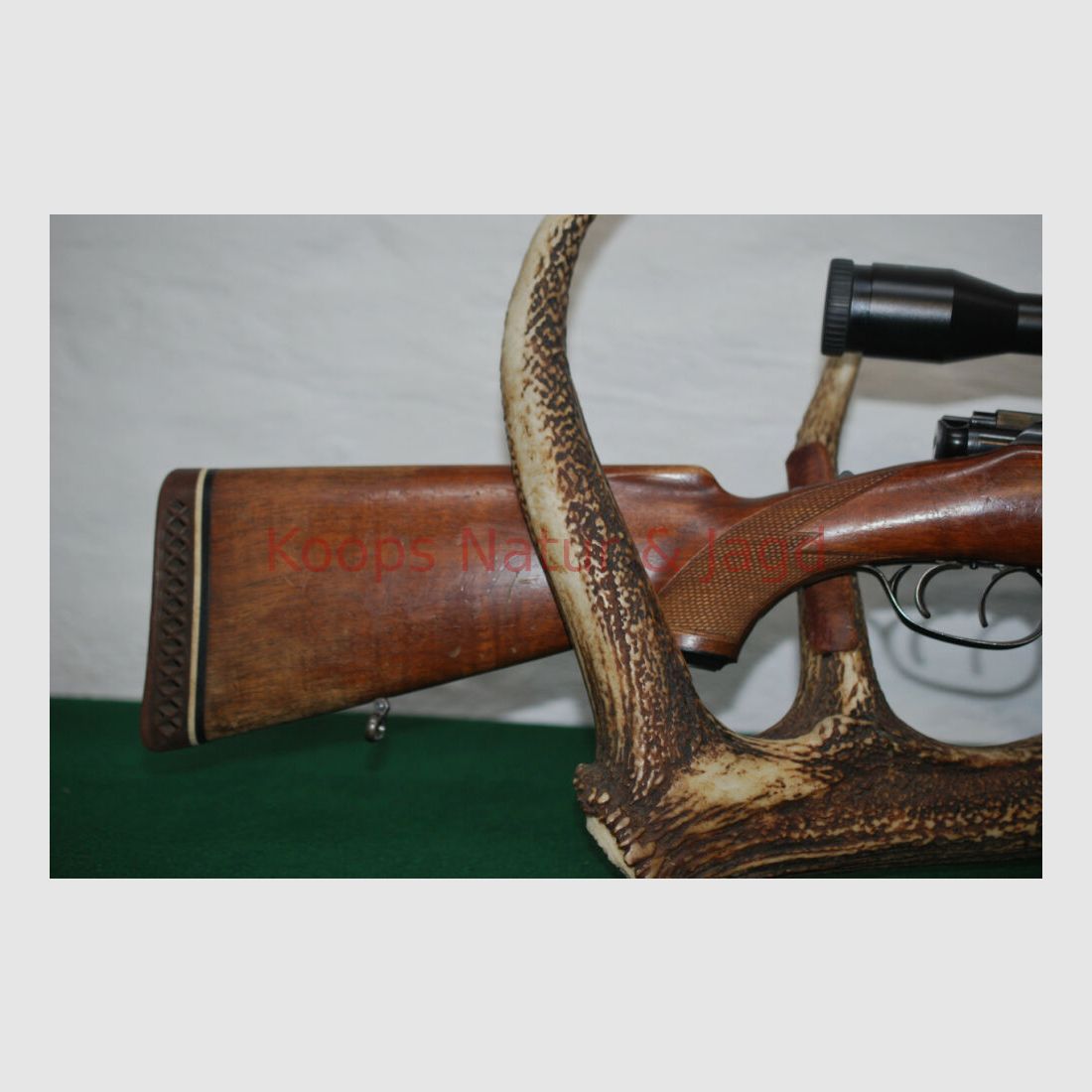 Steyr Mannlicher GK