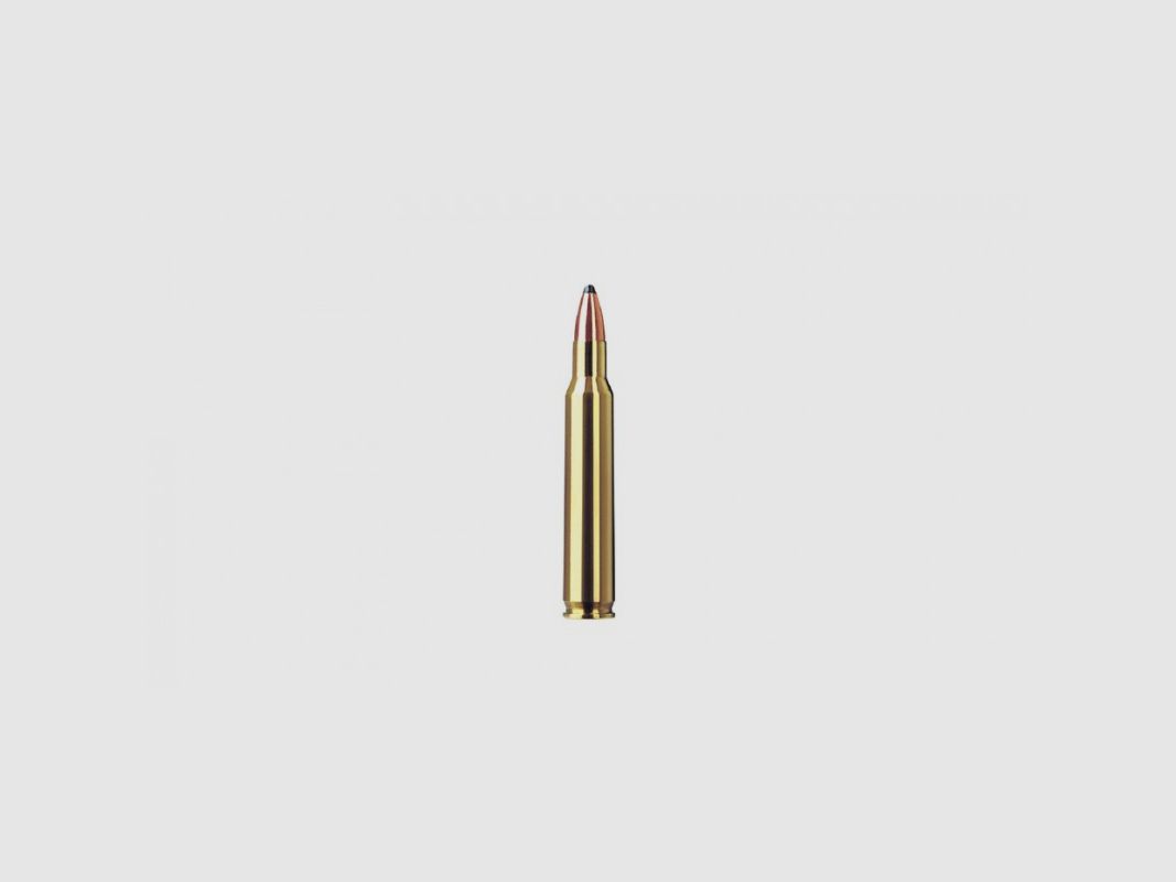 RWS 5.6X50 MAG 63 GRS / 4.1 G TMS 20 PCS, image 2 of 3